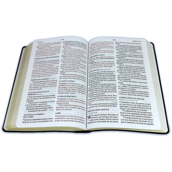 Biblia RVR1960 Letra Grande Manual Vinilo Negro Manual 12pt - Image 2