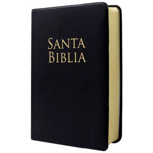 Biblia RVR1960 Lt Grande Manual Vinil Negro 12pt - Image 2