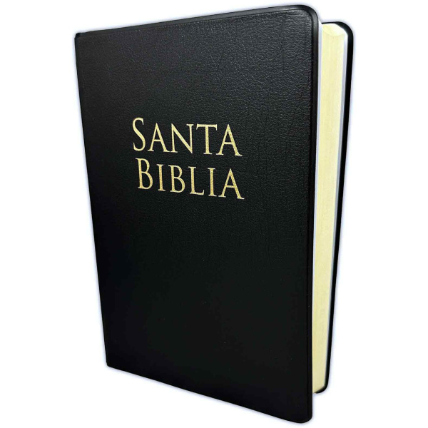 Biblia RVR1960 Letra Grande Manual Vinilo Negro Manual 12pt