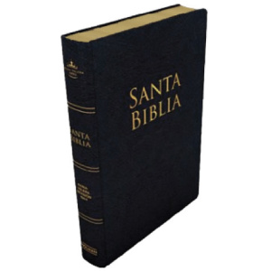 Biblia Reina Valera 1960 Letra Grande PJR Holman Vinil Negra