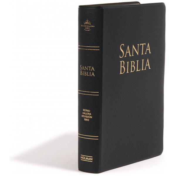 Biblia RVR1960 Lt Grande Manual Vinil Negro 12pt