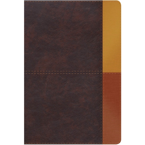 RVR 1960 Biblia de Estudio Arcoiris Cocoa Terracota Símil Piel índice
