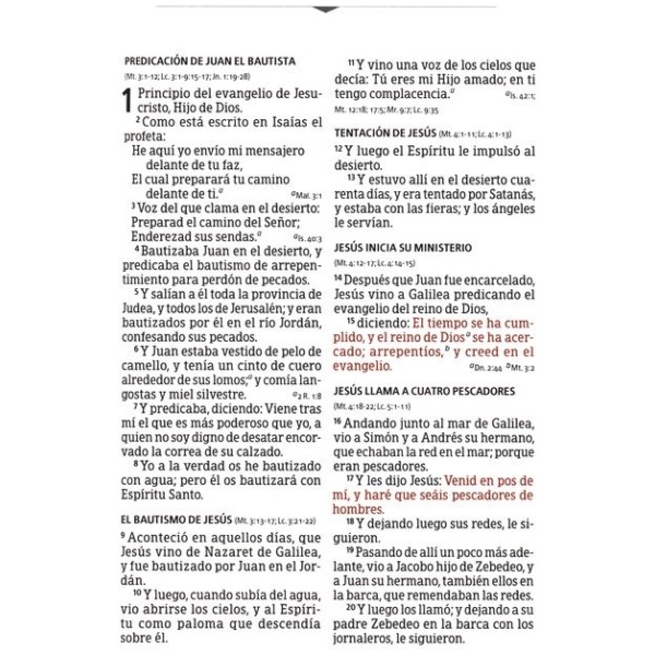 Biblia RVR1960 Lt Grande Manual Multicolor 12pt - Image 5