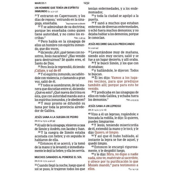 Biblia RVR1960 Lt Grande Manual Multicolor 12pt - Image 6