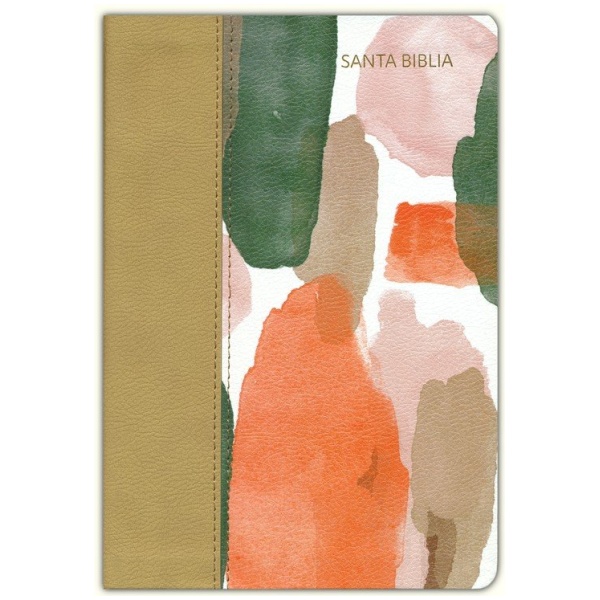 Biblia RVR1960 Lt Grande Manual Multicolor 12pt