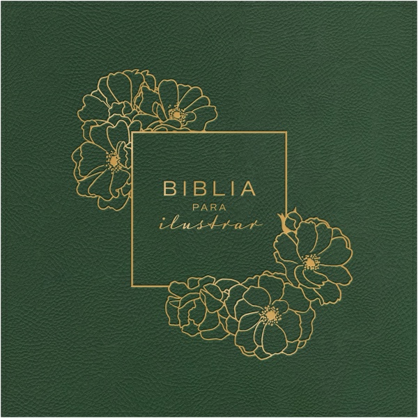 Biblia RVR1960 Para Ilustrar Verde Símil Piel 8pt