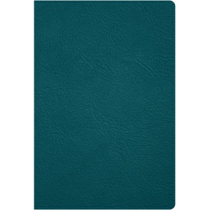 Biblia RVR1960 Deluxe Turquesa Piel genuina 11pt