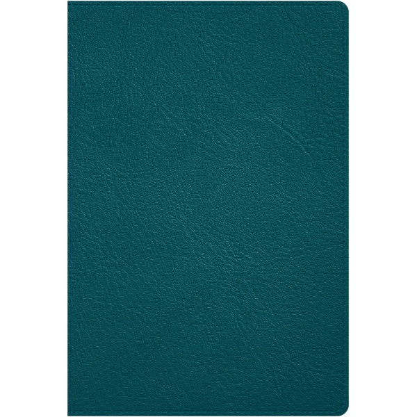 Biblia RVR1960 Deluxe Turquesa Piel genuina 11pt