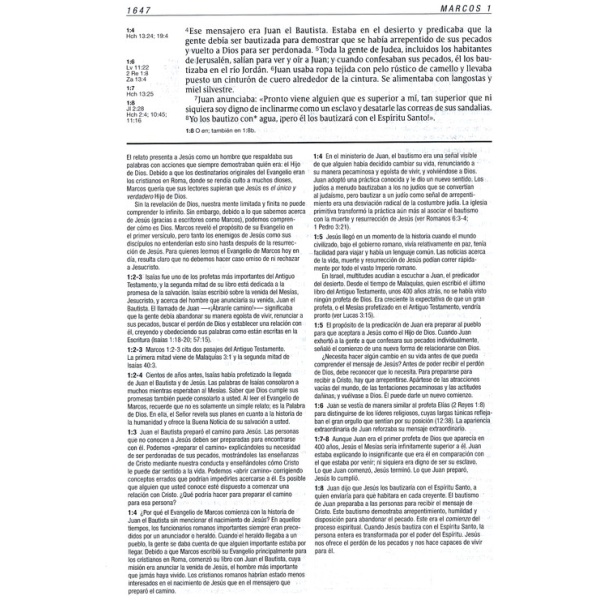 Biblia de estudio del diario vivir NTV - Image 8