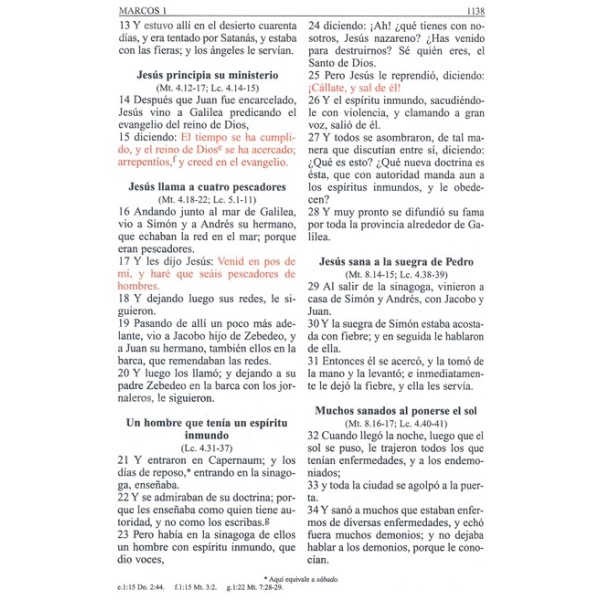 Reina Valera 1960 letra grande cierre protector - Image 6