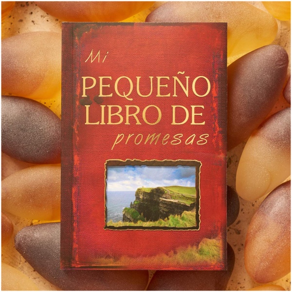 Mi Pequeño Libro de Promesas