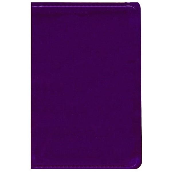 Rvr 1960 Biblia Colormax, Partido Violeta Imitación Piel - Image 3