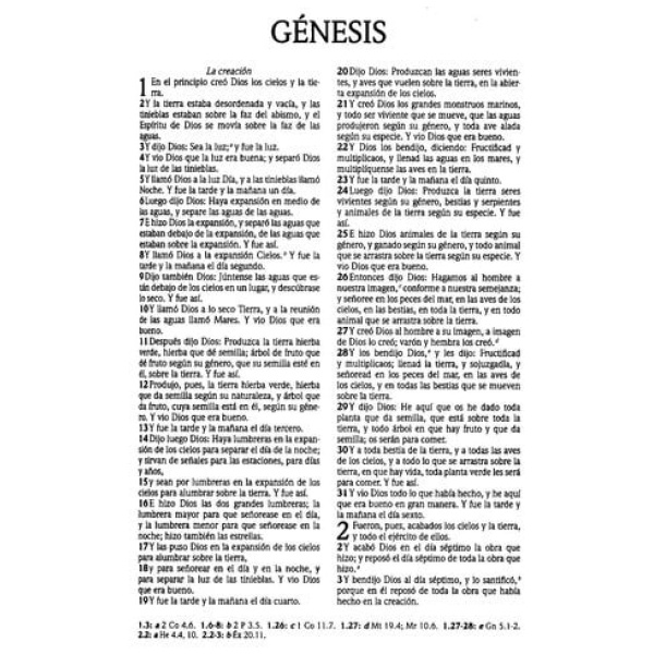 Rvr 1960 Biblia Colormax, Partido Violeta Imitación Piel - Image 4