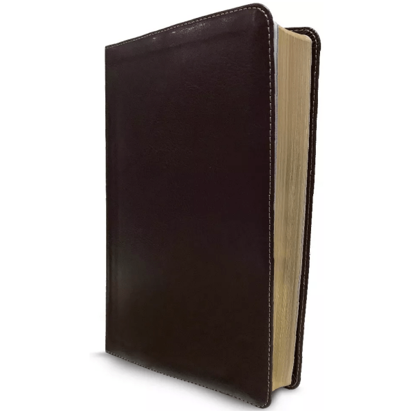 Rvr 1960 Biblia De Estudio Arco Iris, Chocolate Símil Piel