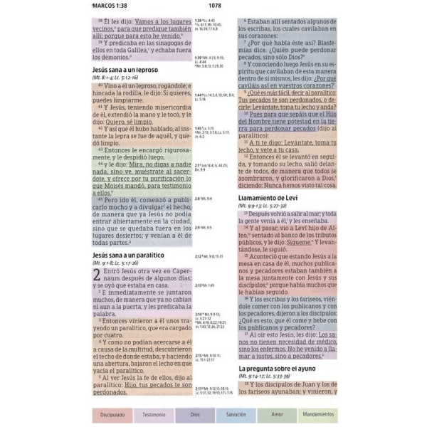 Ntv Biblia De Estudio Arco Iris, Acuarela S/ Frambuesa Si - Image 5