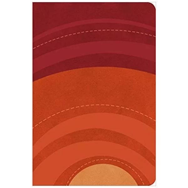 Biblia Rvr 1960 Manual L Grande Gamuza Roja/naranja, Símil