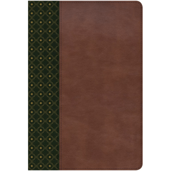 Biblia Rvr60 De Estudio Scofield Simil Piel Color Verde Con Cafe