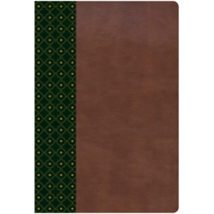 Biblia RVR60 de estudio Scofield simil piel color verde y ca