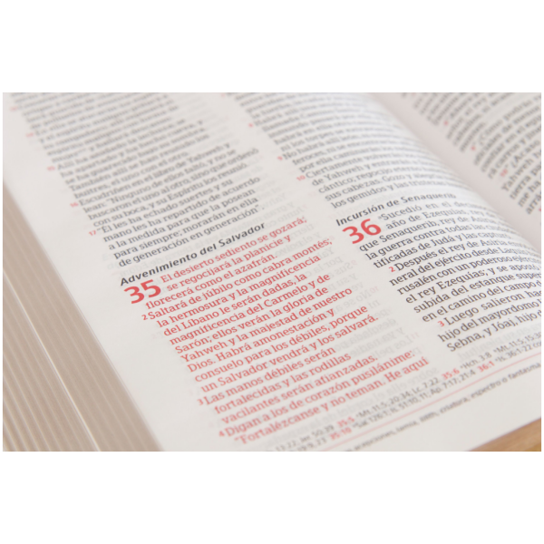 Biblia Peshitta, Caoba Duotono Símil Piel Con Índice - Image 5