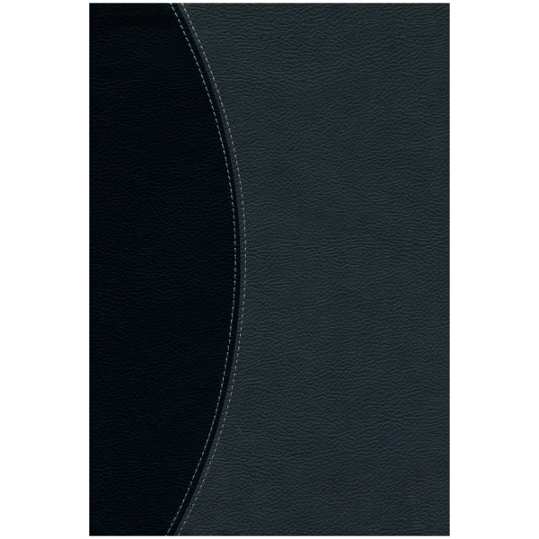Biblia Reina Valera 1960, Letra Súper Gigante, Negro/gris - Image 2