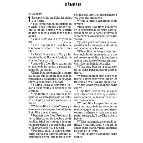 Biblia Reina Valera 1960, Letra Súper Gigante, Negro/gris - Image 3