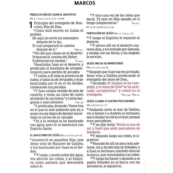 Biblia Reina Valera 1960, Letra Súper Gigante, Negro/gris - Image 4