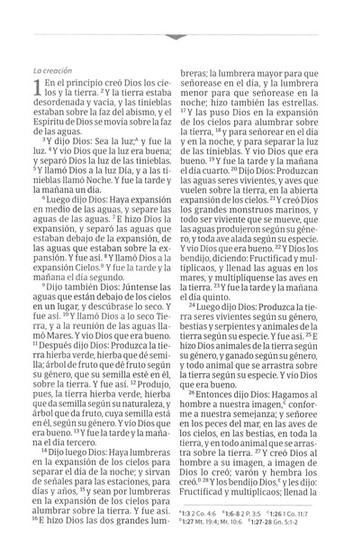 Rvr1960 Biblia Compacta Letra Grande Aqua, Símil Piel Con Índice - Image 2