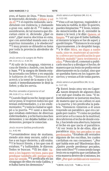 Rvr1960 Biblia Compacta Letra Grande Aqua, Símil Piel Con Índice - Image 3