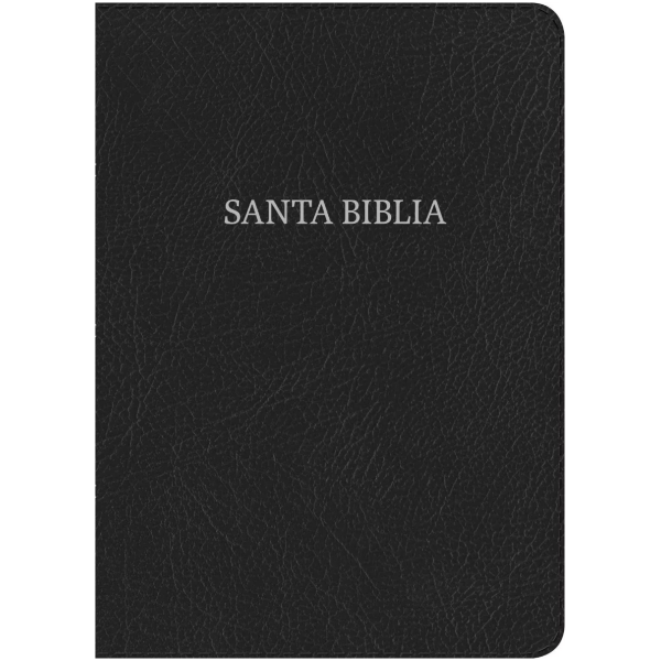 Biblia Compacta Letra Grande Nvi Piel Fabricada Negro
