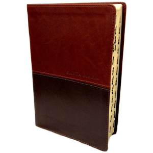 Biblia NTV Personal LG Café Café Índice
