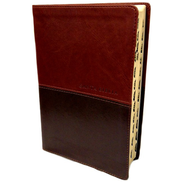 Biblia NTV Personal LG Café Café Índice