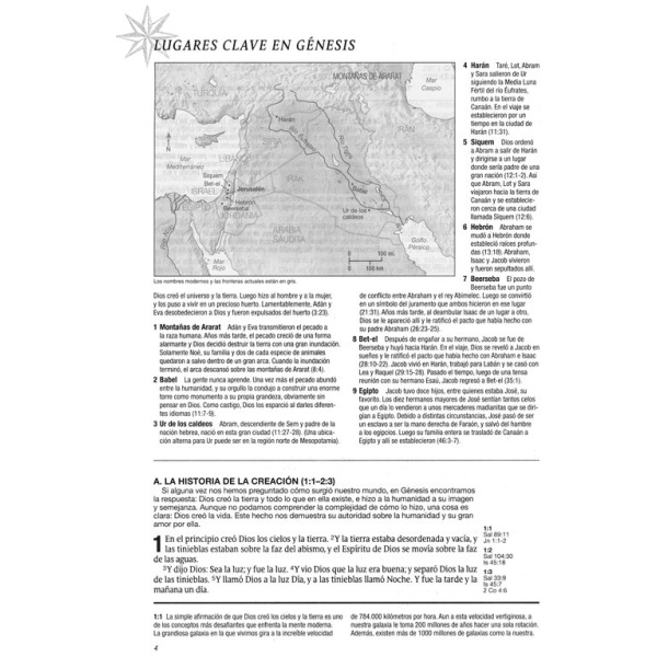 Biblia de estudio del diario vivir RVR60 Tapa Dura Vino - Image 3
