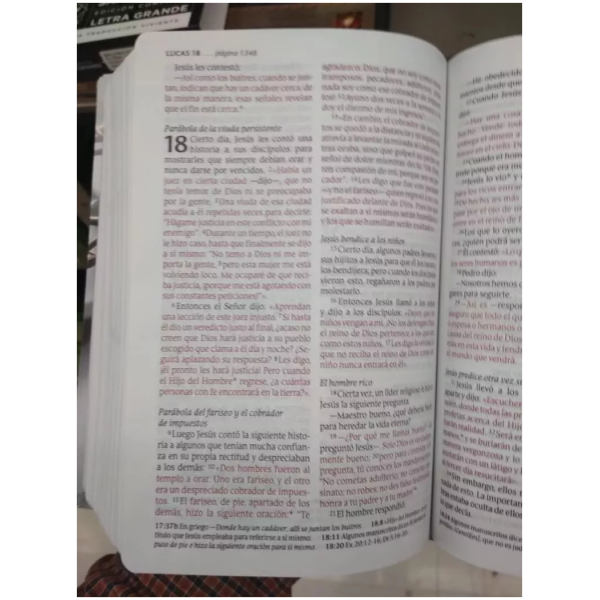 Biblia NTV edición compacta letra grande Apocalipsis 19:16 - Image 5