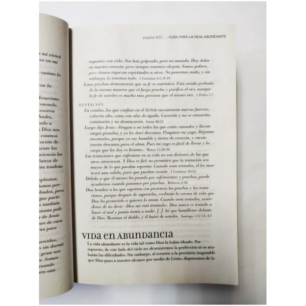 Biblia Vida abundante NTV letra grande - Image 3