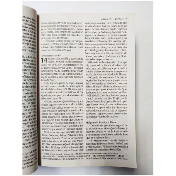 Biblia Vida abundante NTV letra grande - Image 4