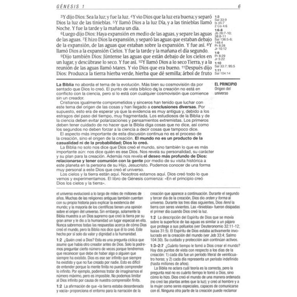 Biblia RVR60 de estudio Diario Vivir letra grande t/d índice - Image 6