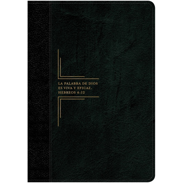 Biblia de estudio del diario vivir RVR60 letra grande negro/ónice