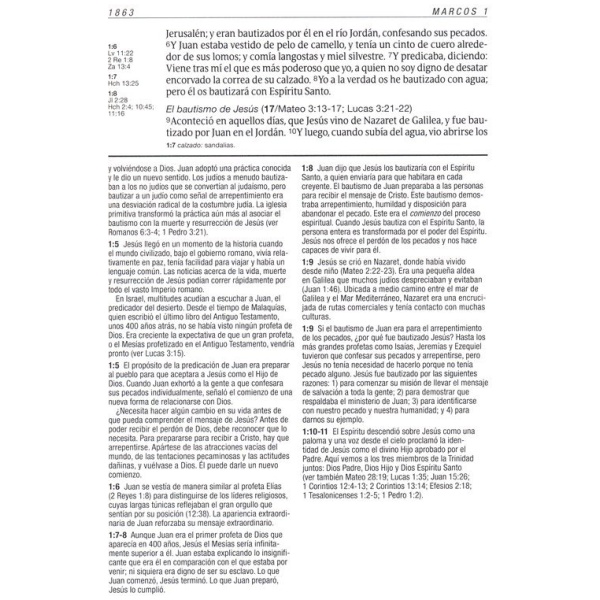 Biblia RVR60 de estudio diario vivir sentipiel café/café cla - Image 5