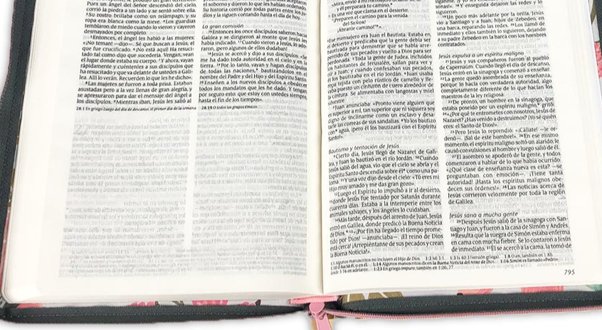 Santa Biblia NTV, Edición zíper, Jardín (Tela) - Image 4