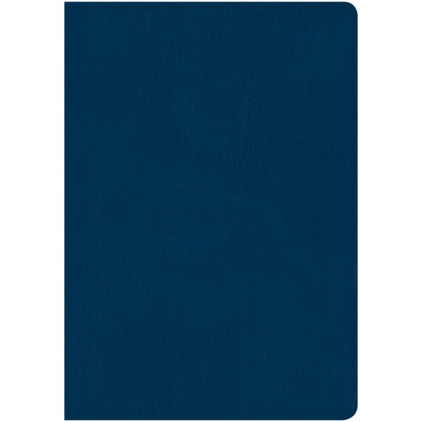 Biblia NTV Letra Grande Claásica Azul - Image 3