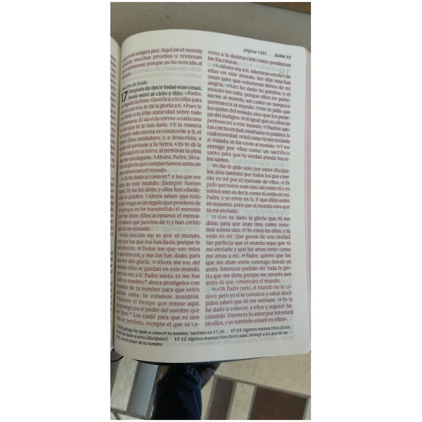 Biblia NTV Letra Grande Claásica Azul - Image 4