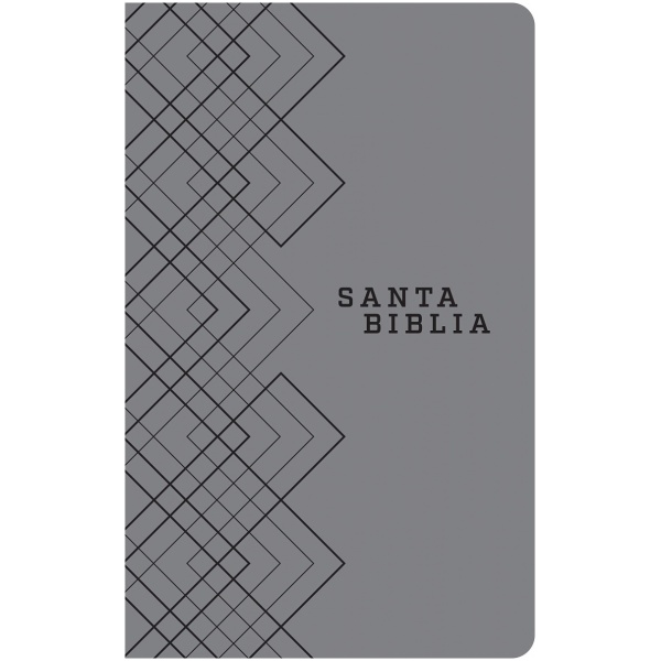 Biblia NTV edición ágape gris - Image 2