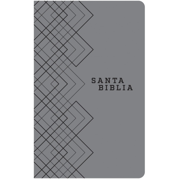 Biblia NTV edición ágape gris