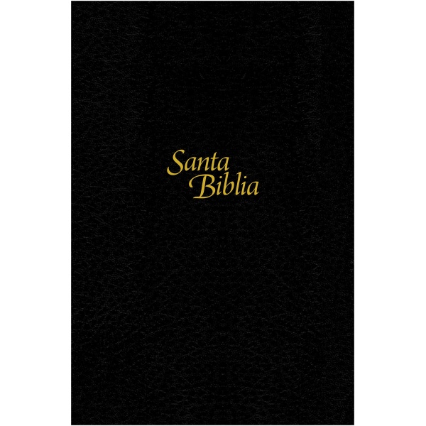 Biblia NTV, Edición Personal negro