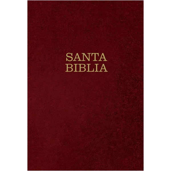 Biblia Ntv Letra Súper Gigante Tapa dura vino tinto - Image 2