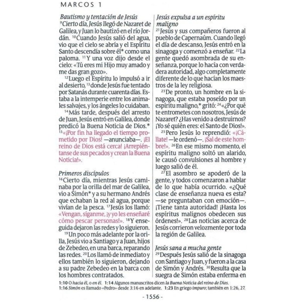 Biblia Ntv Letra Súper Gigante Negro con índice - Image 4