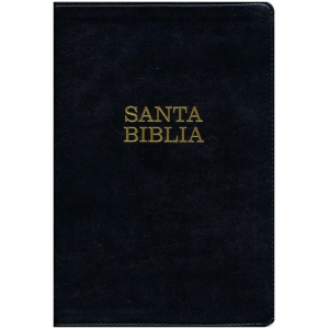 Biblia Ntv Letra Súper Gigante Negro con índice
