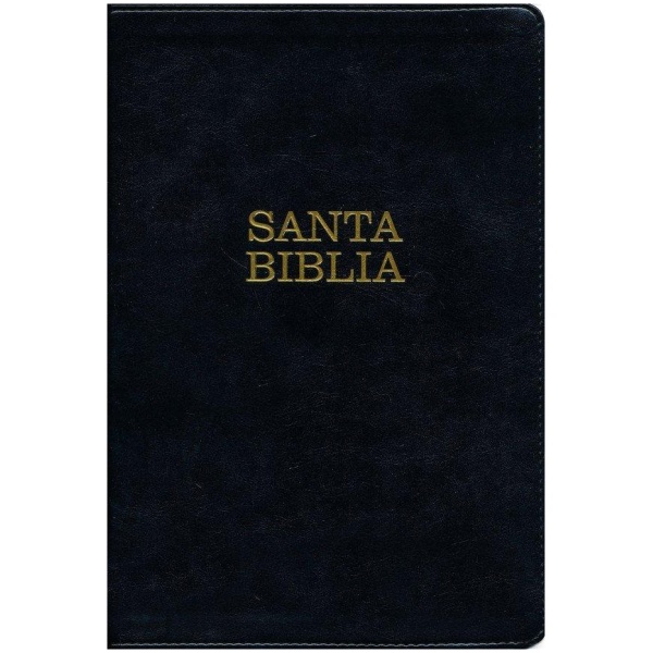 Biblia Ntv Letra Súper Gigante Negro con índice