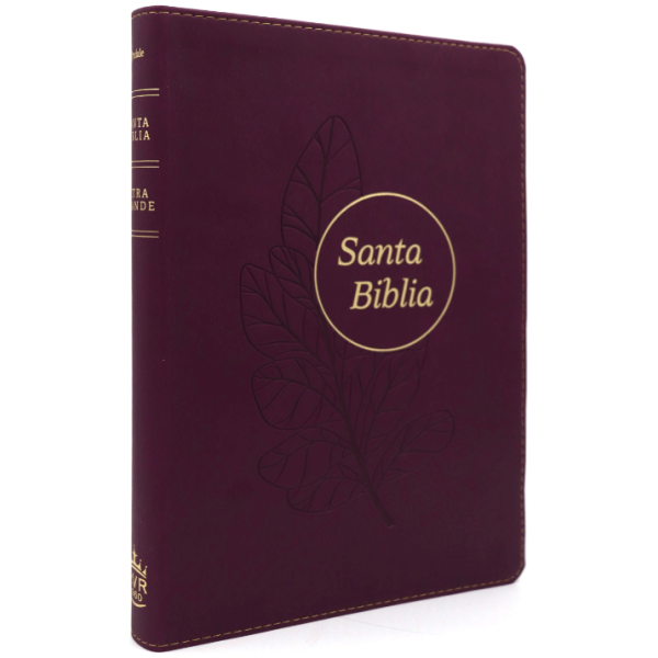 Biblia Letra Grande RVR60 Referencia Ultrafina Ciruela índice - Image 3