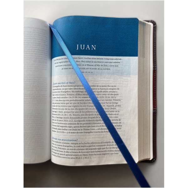 Biblia de Estudio Swindoll NTV café café claro índice - Image 2